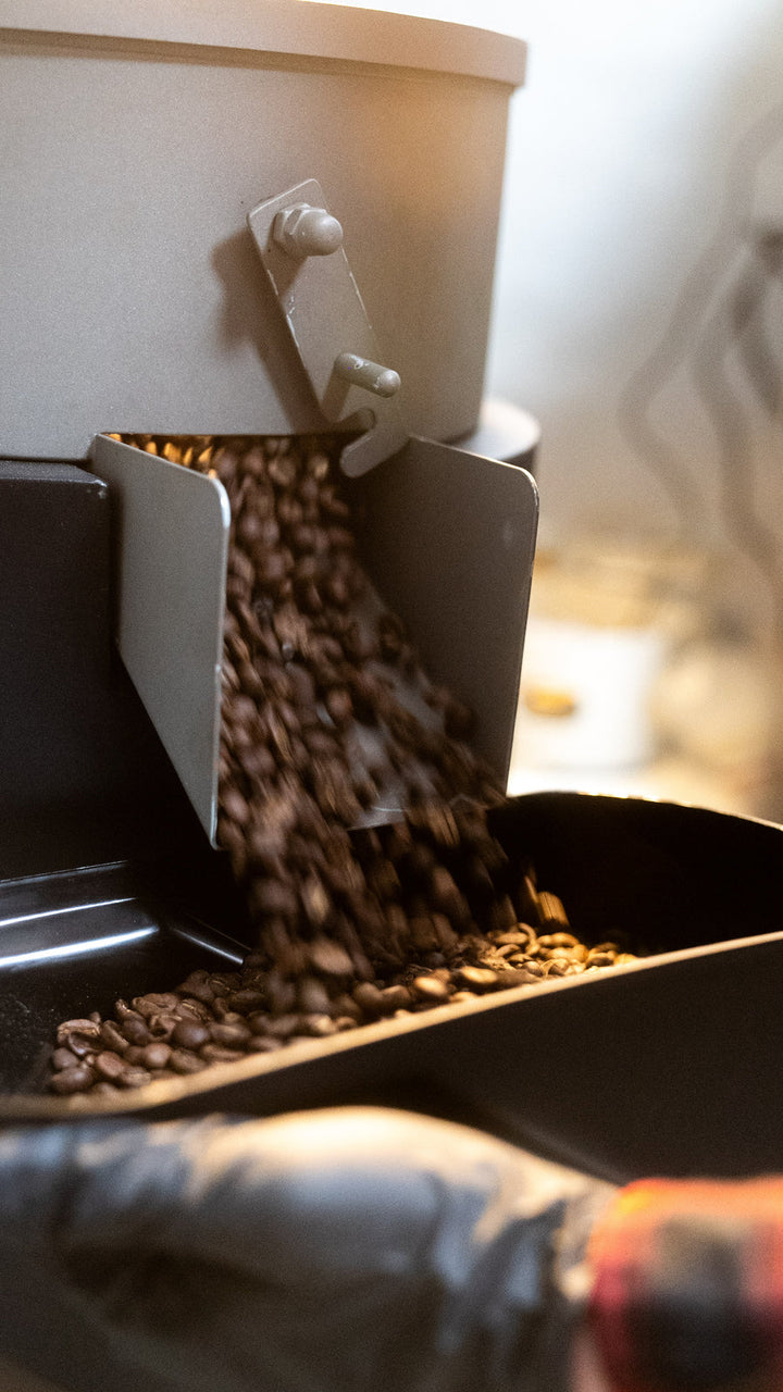 Freshly roasted coffee pouring from the roaster at the Inheritance Roastery, Pensacola, FL co-roasting space