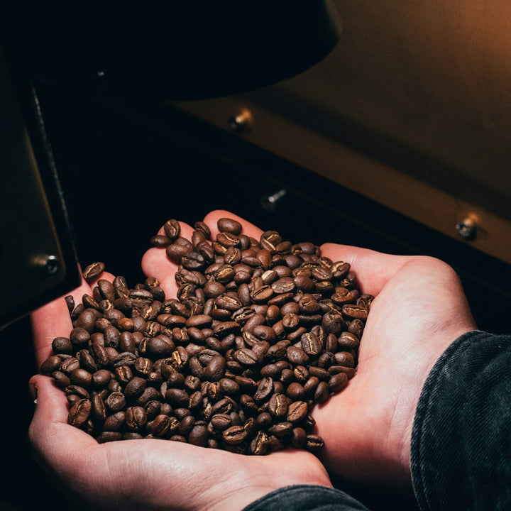 Hands holding freshly roasted coffee beans - where churches should invest first, from Inheritance Coffee, Pensacola, FL