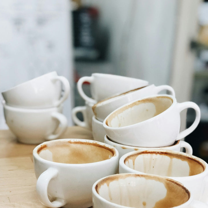 Rows of plain white ceramic coffee cups ready to be filled for a crowd