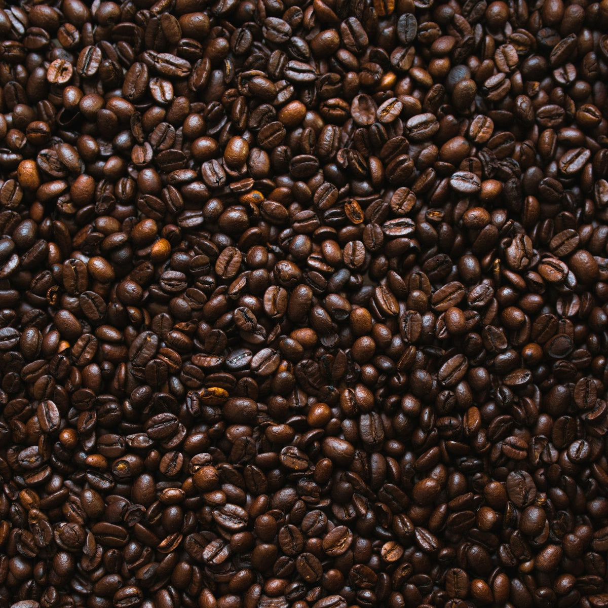 Brown roasted coffee beans in close texture