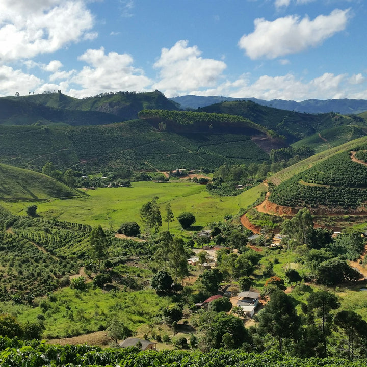 Coffee farms covering the green hillsides of a mountain valley in Ibatiba, Brazil - Inheritance Coffee, Pensacola, FL roaster for home brewers and cafes