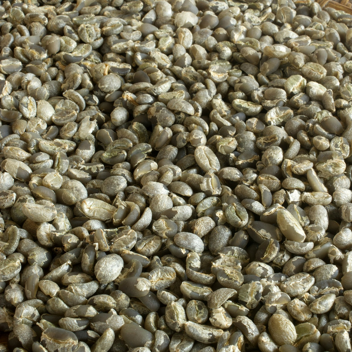 Raw green coffee beans in a woven basket