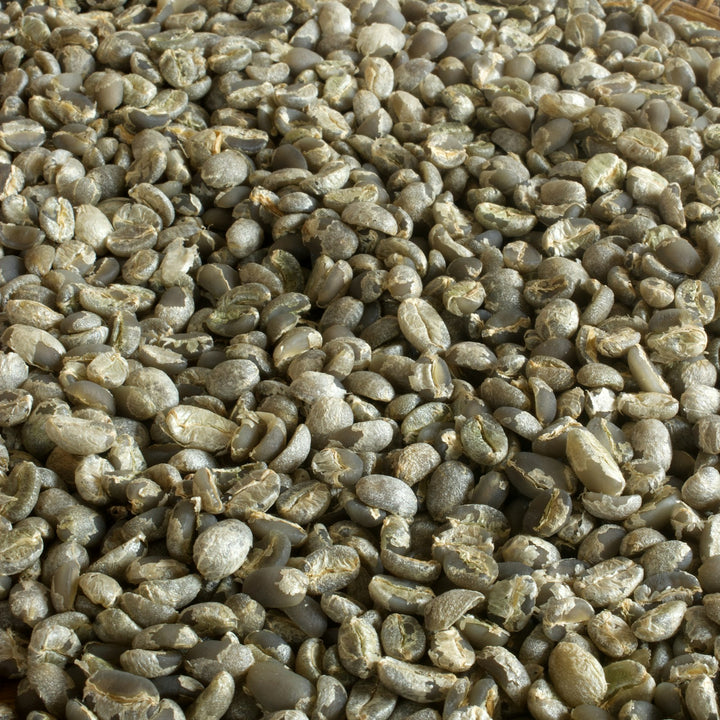 Raw green coffee beans in a woven basket