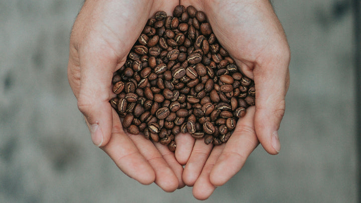 Hands holding freshly roasted coffee beans - coffee storage tips from Inheritance Coffee, Pensacola, FL