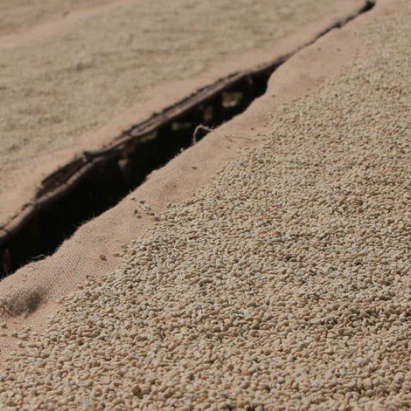 Ethiopia Kercha Bilida