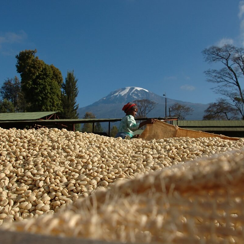 Inheritance Coffee