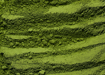 The History and Cultural Significance of Matcha - Inheritance Coffee