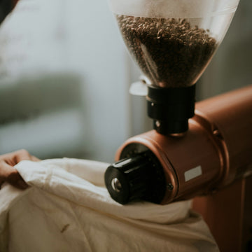 A barista grinding whole coffee beans into fresh grounds at a cafe grinder