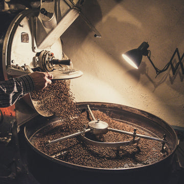 A person pouring coffee beans by hand into a machine in a small coffee roastery