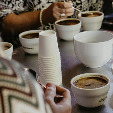 White cups and tasting spoons lined up on a table during a blind coffee cupping
