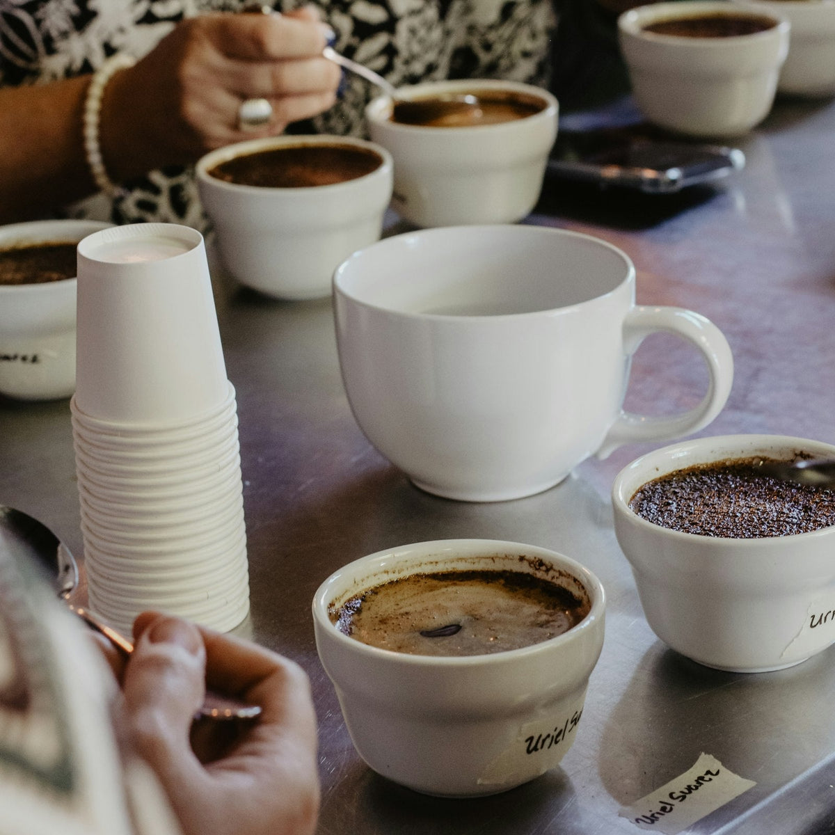 Coffee cupping bowls lined up on a table for a blind tasting