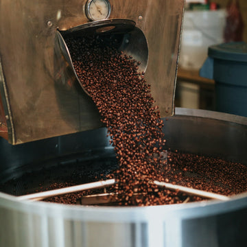 Roasted coffee beans in a round metal container at a coffee roastery