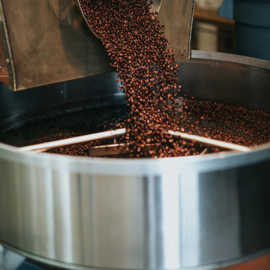 Freshly roasted brown coffee beans in the round cooling tray of a drum coffee roaster