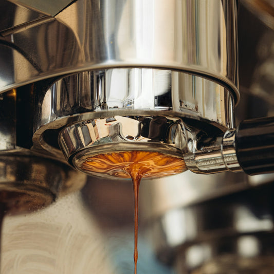 Espresso running from a metal portafilter into a cup on a commercial espresso machine