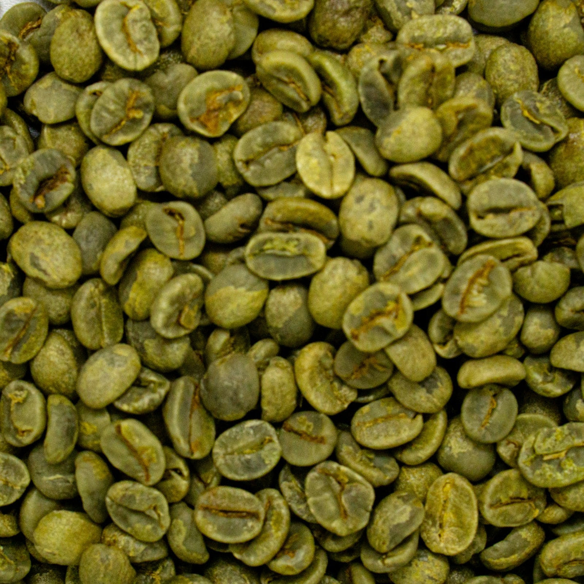 A pile of green, unroasted Indonesian coffee beans