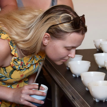 A coffee taster smelling a small sample cup at a cupping table while assessing its flavor descriptors