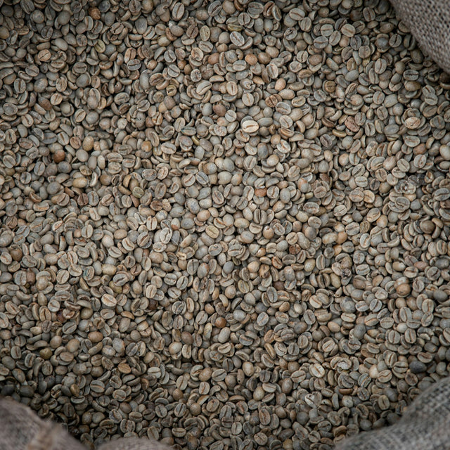 Raw green coffee beans filling a burlap sack seen from above before roasting