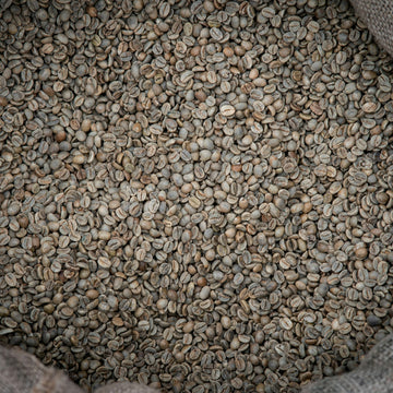 Unroasted green coffee beans filling a woven burlap sack