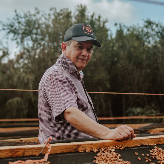 Carlos Pola - Inheritance Coffee