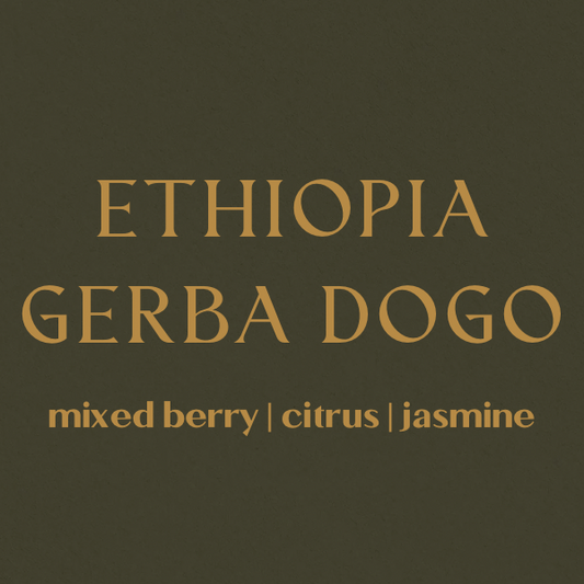 Ethiopia Gerba Dogo