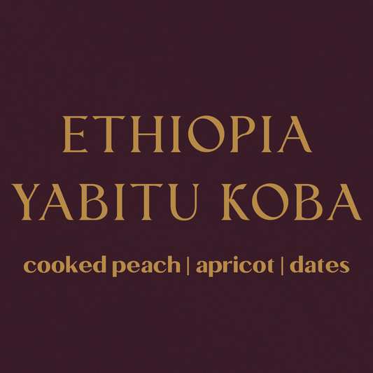 Ethiopia Yabitu Koba