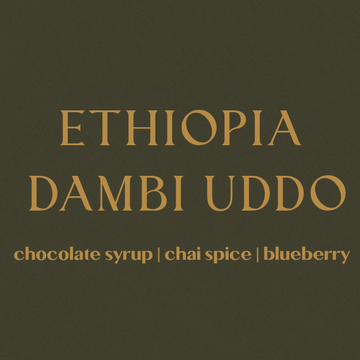 Ethiopia Dambi Uddo