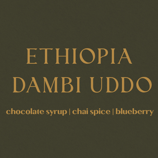 Ethiopia Dambi Uddo