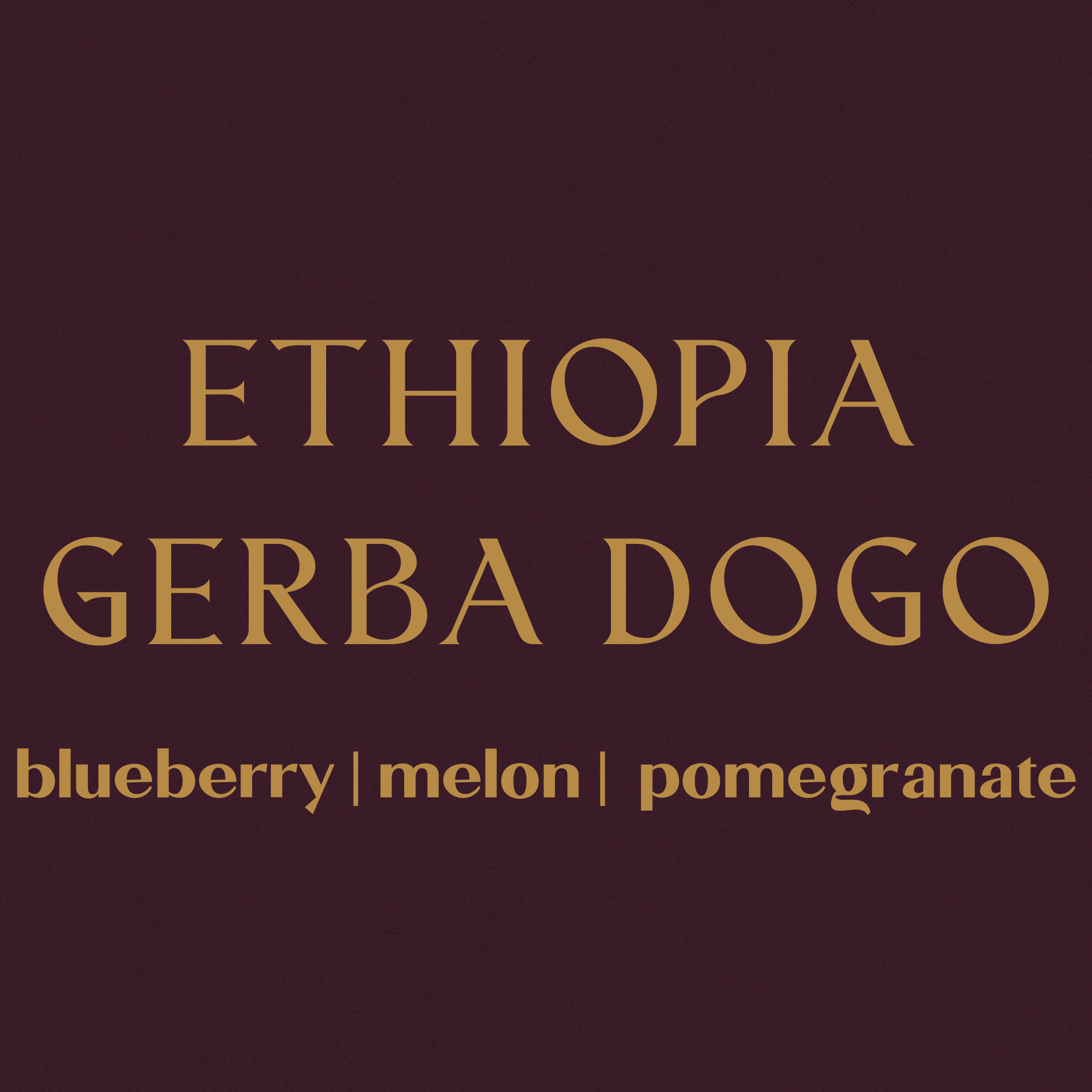 Ethiopia Gerba Dogo