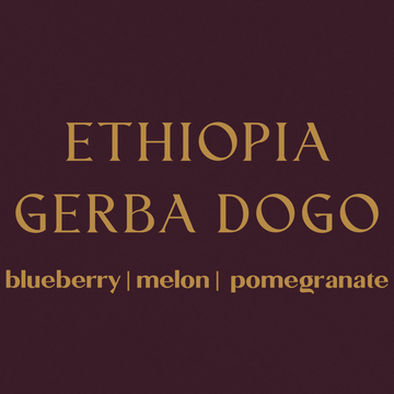 Ethiopia Gerba Dogo