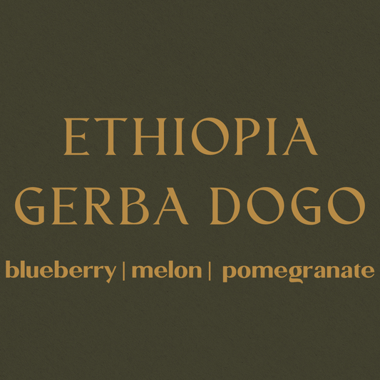 Ethiopia Gerba Dogo