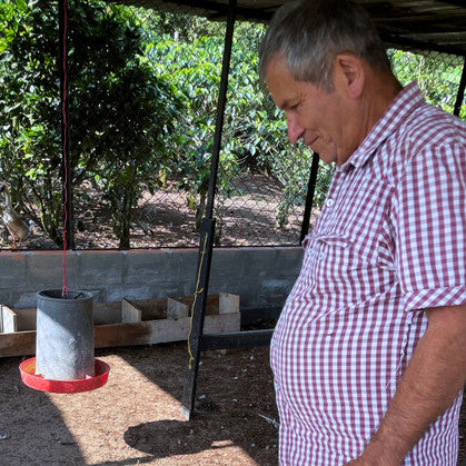 Colombia Finca La Aurora Decaf - Inheritance Coffee