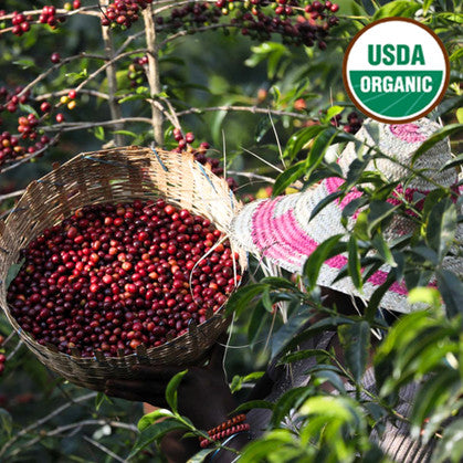 Ethiopia Chelbesa - Inheritance Coffee