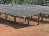 Ethiopia Buku Abel