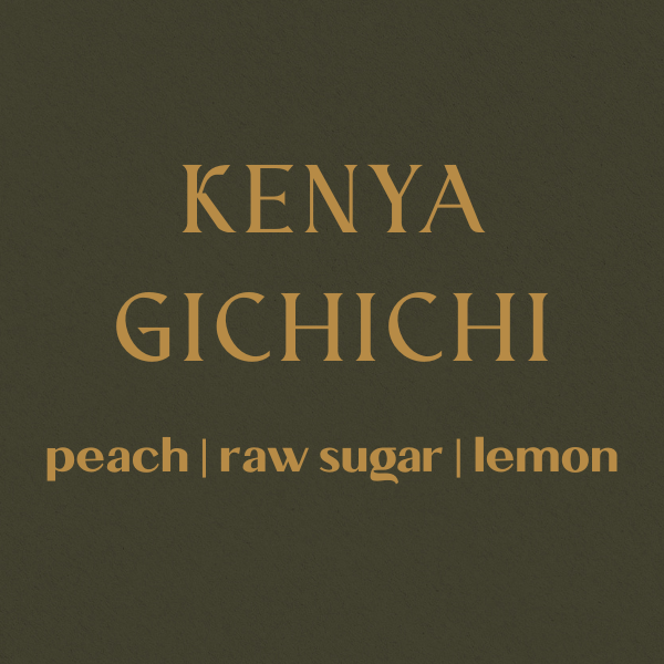 Kenya Nyeri Gichichi