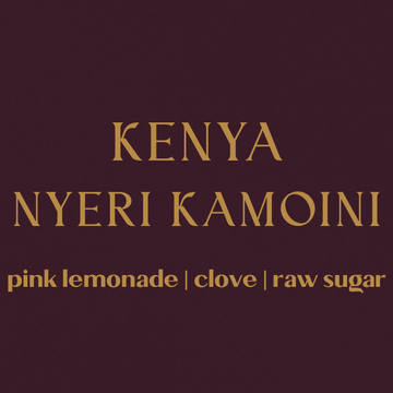 Kenya Nyeri Kamoini