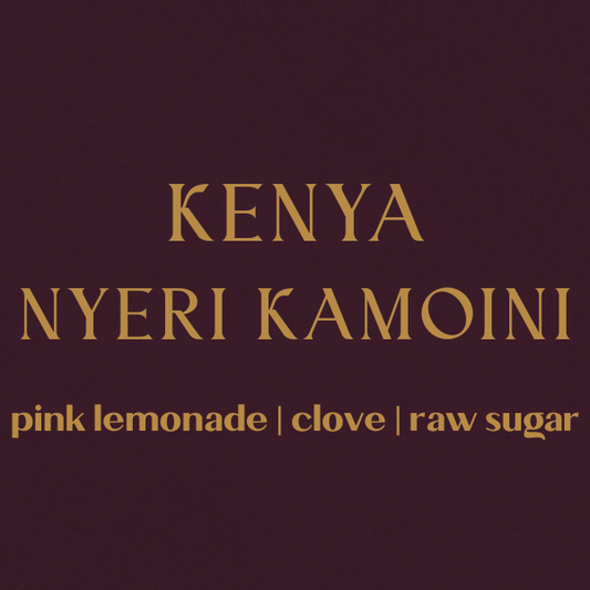Kenya Nyeri Kamoini