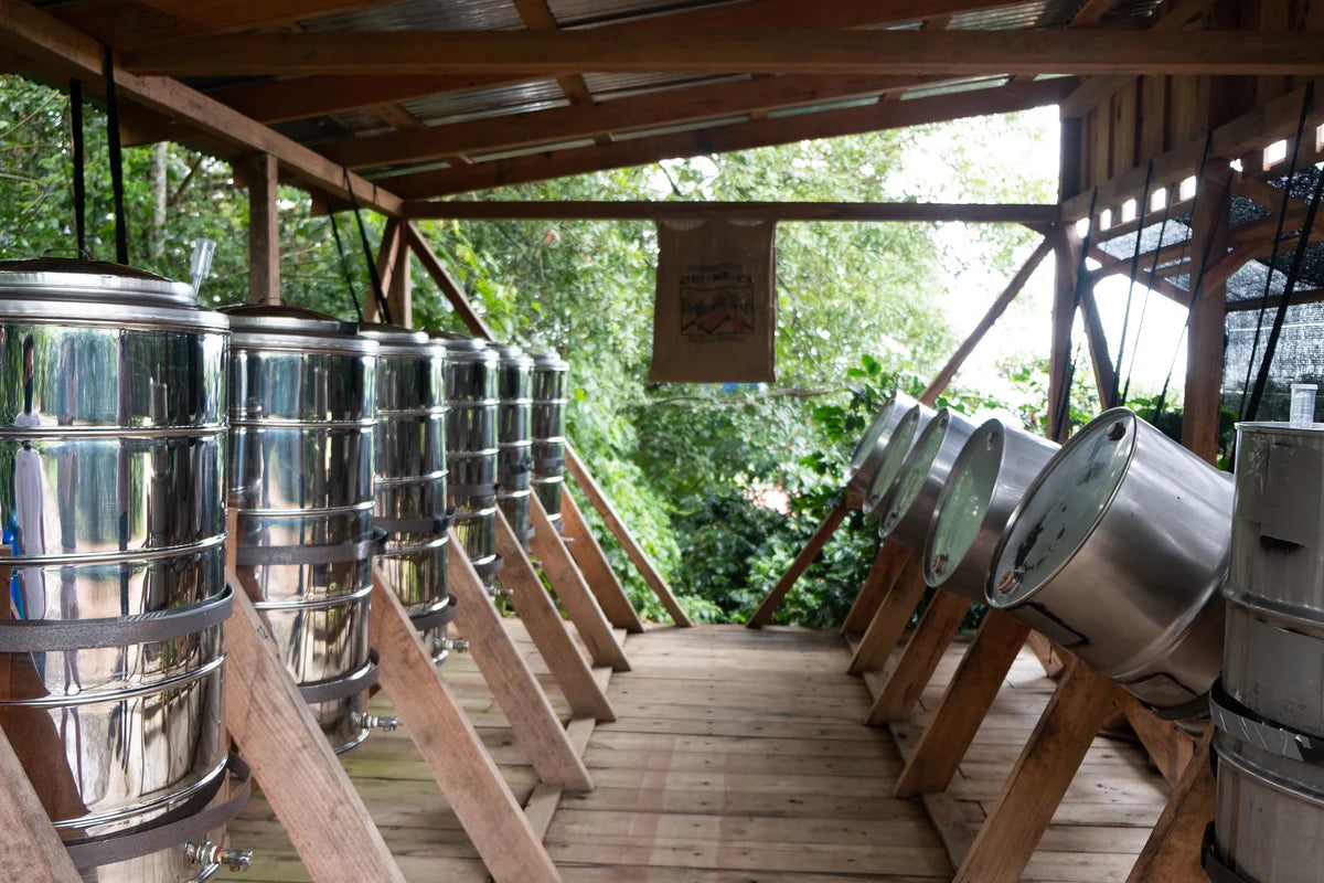 Stainless anaerobic fermentation tanks at La Chumeca mill, Costa Rica, sourced by Inheritance Coffee, Pensacola, FL roaster for cafes and home brewers