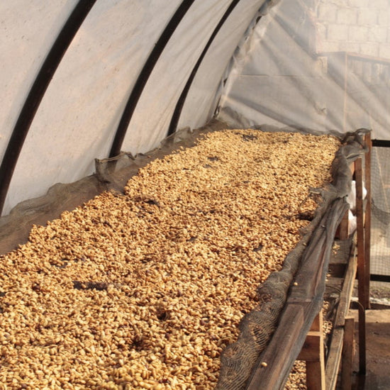 Java Puncak Sirna - Inheritance Coffee