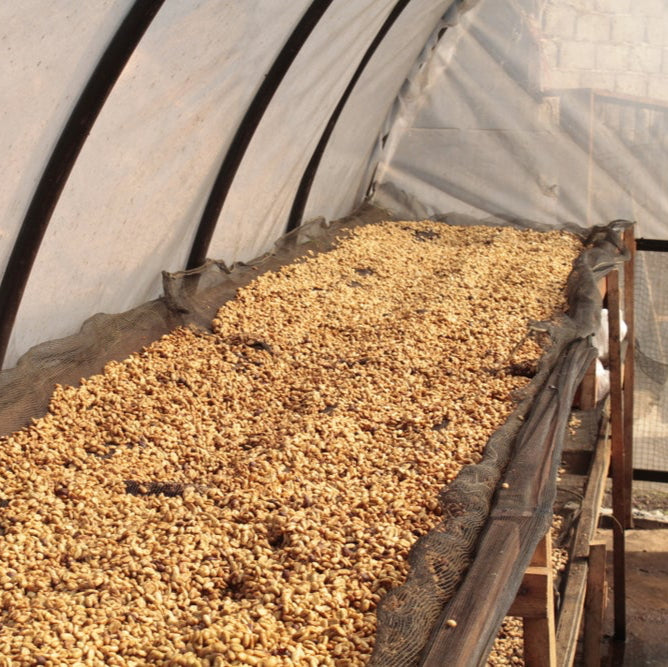 Java Puncak Sirna - Inheritance Coffee