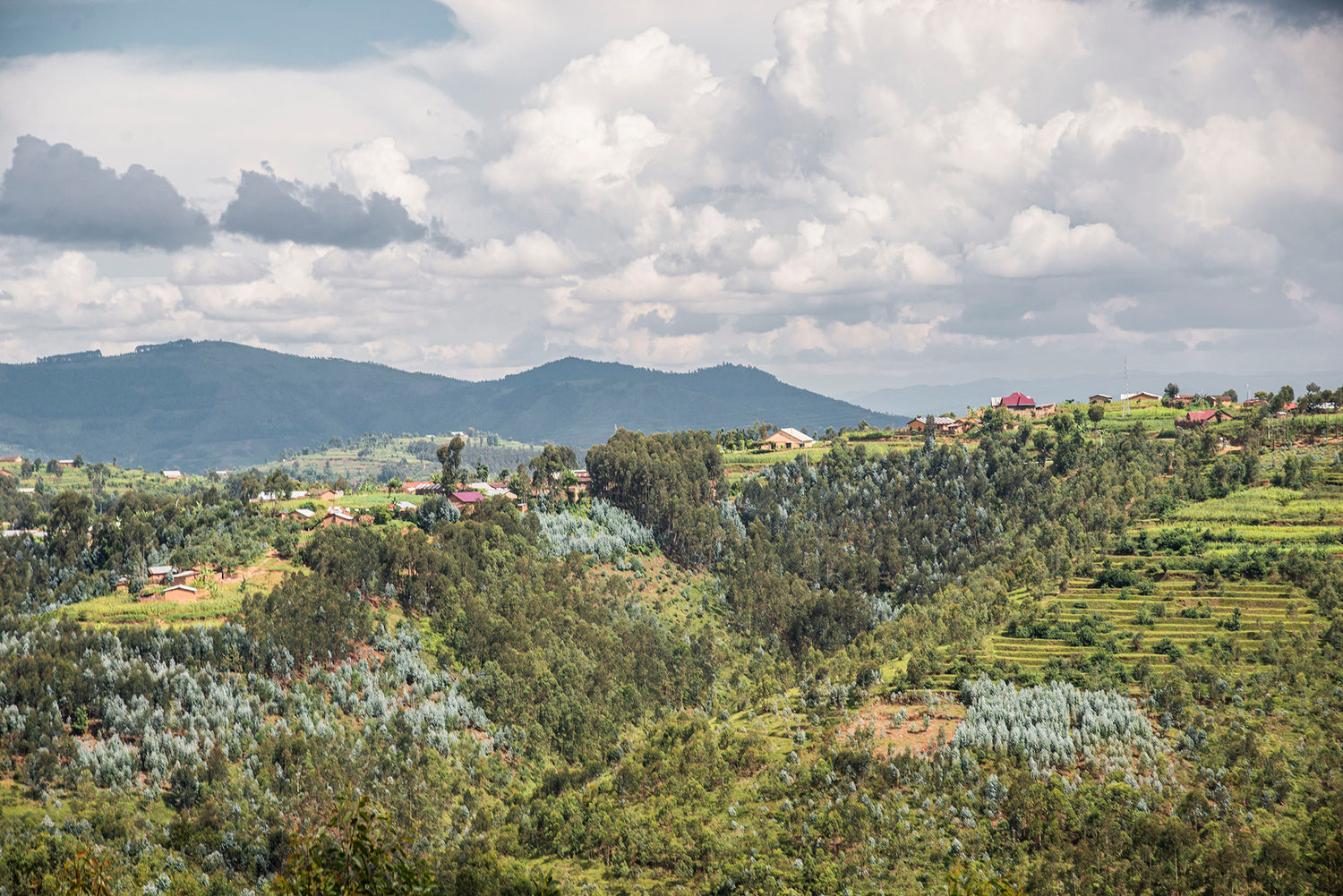 Hilly landscape with greenery and houses under a cloudy sky
