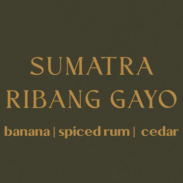 Sumatra Ribang Gayo