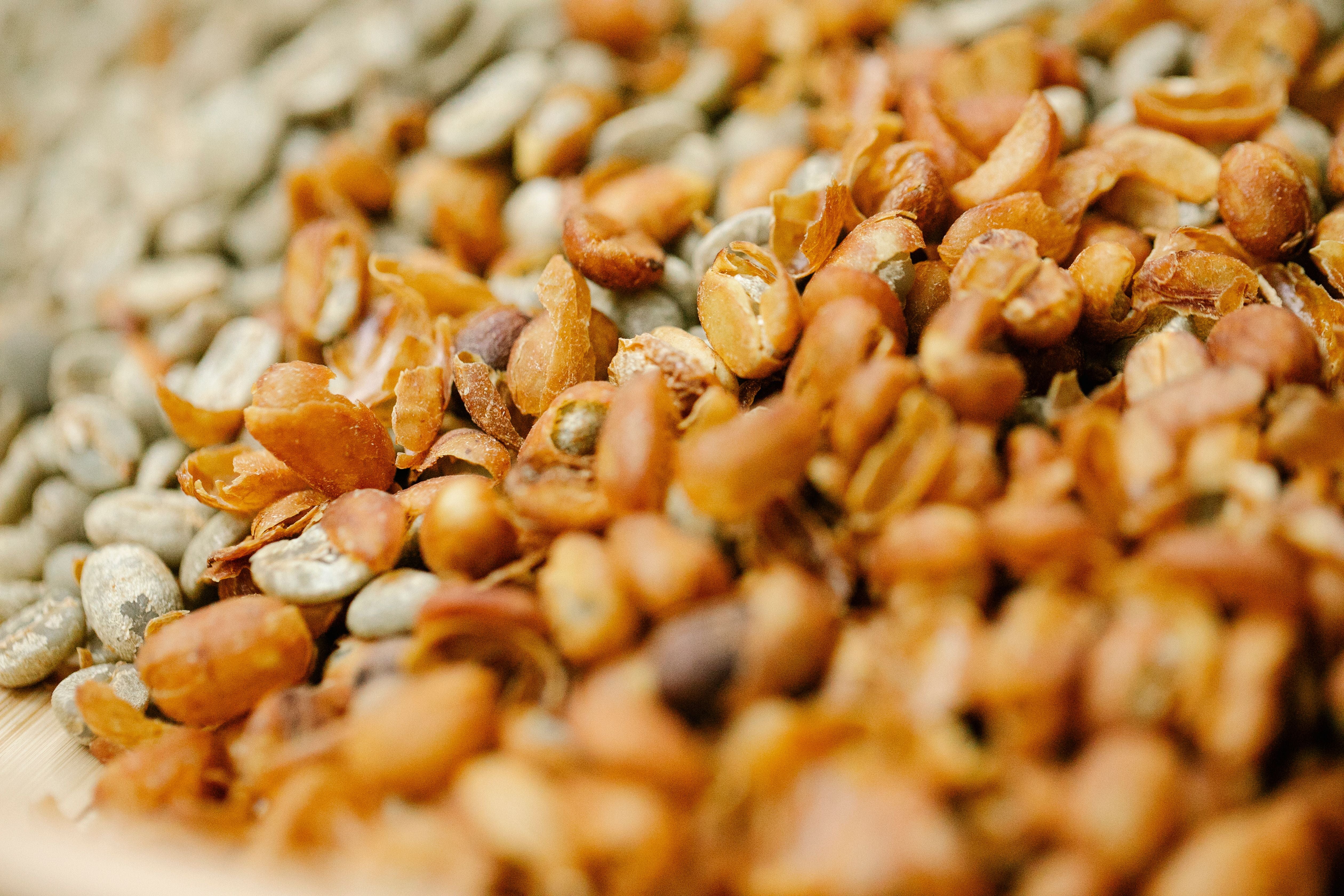 Green coffee beans drying in the sun at an Ethiopian washing station