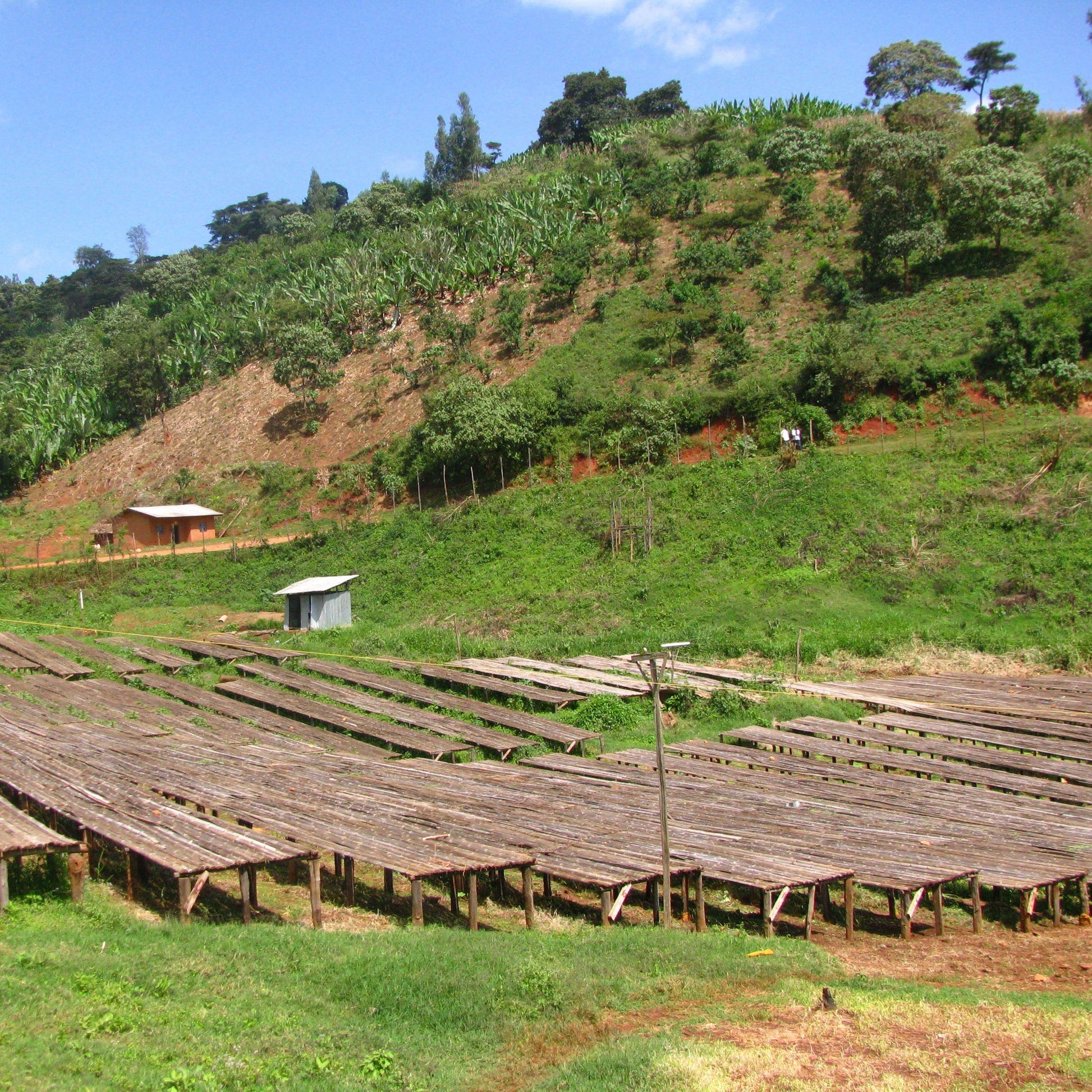 Wooden shelves for drying crops on a grassy hillside with trees and clear sky.