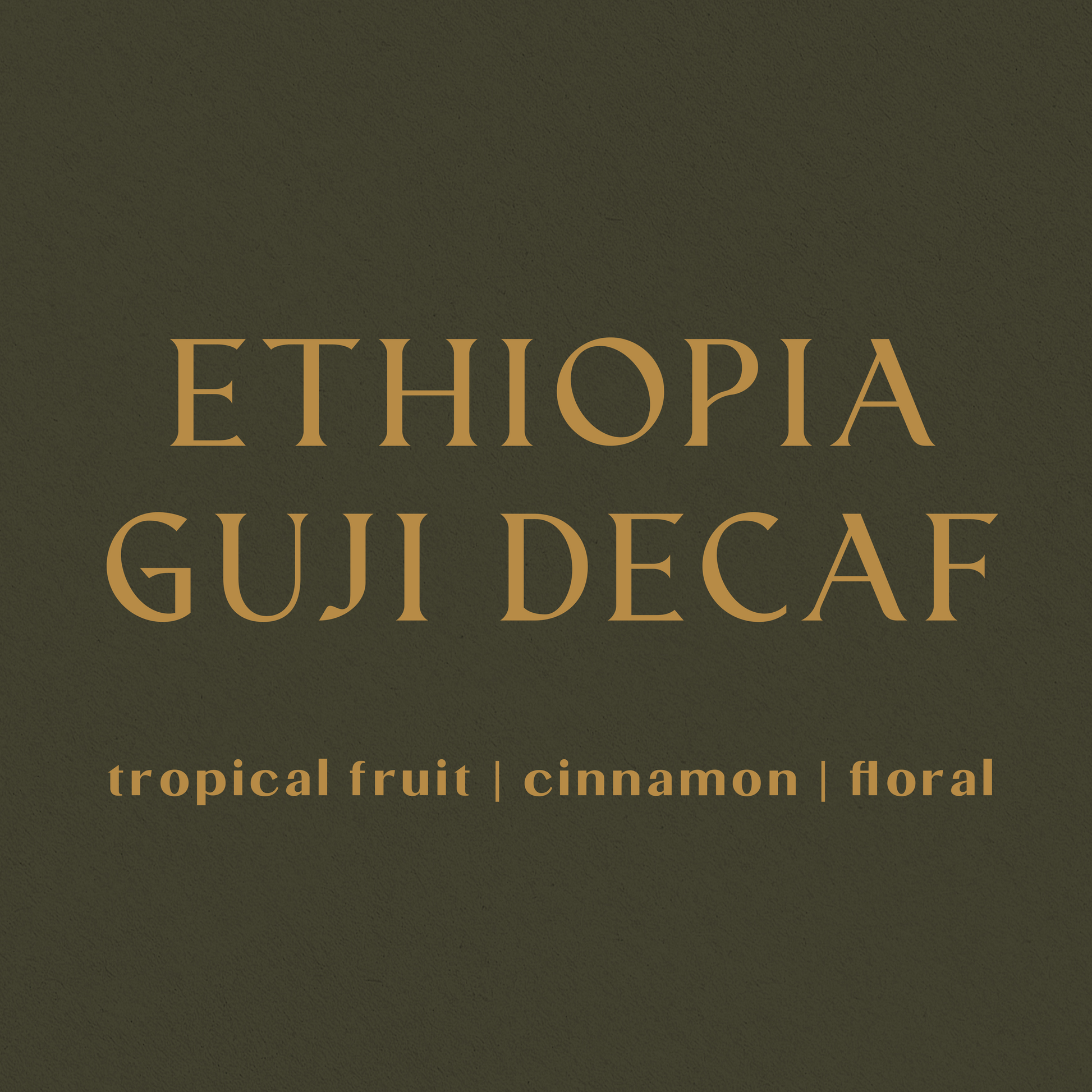 Ethiopia Guji Decaf - Inheritance Coffee