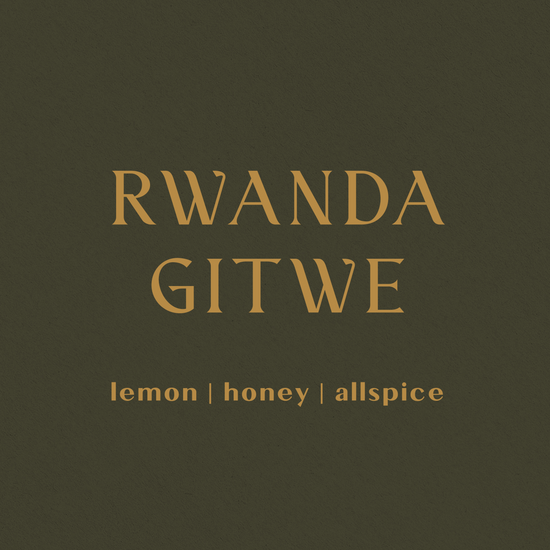 Rwanda Gitwe - Inheritance Coffee