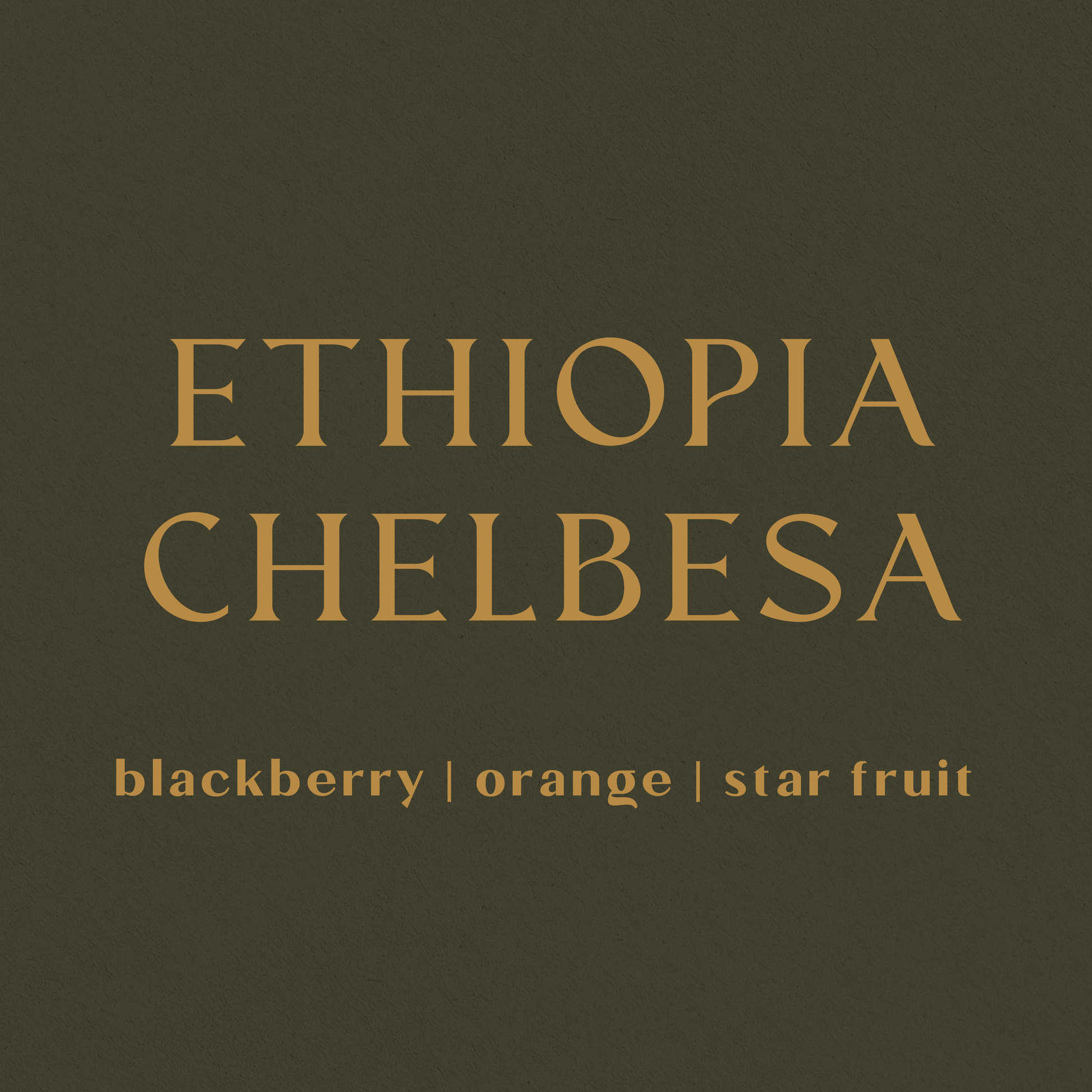 Ethiopia Chelbesa - Inheritance Coffee