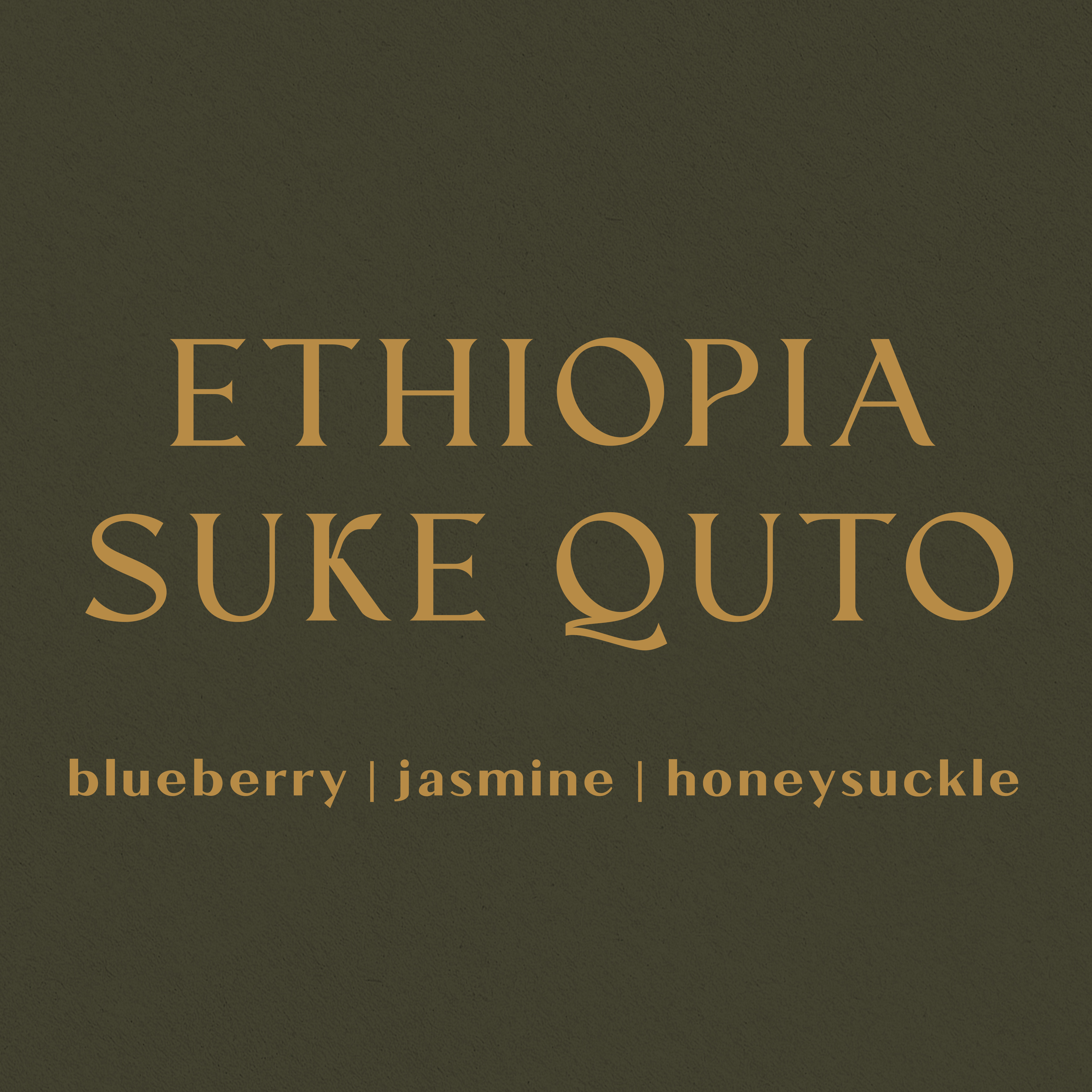 Ethiopia Suke Quto - Inheritance Coffee