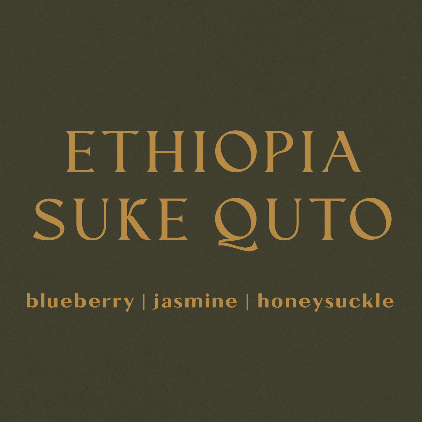 Ethiopia Suke Quto - Inheritance Coffee