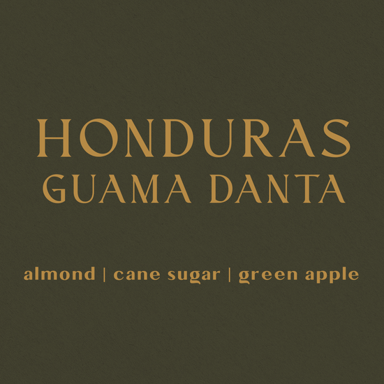 Honduras Reserva Guama Danta - Organic - Inheritance Coffee