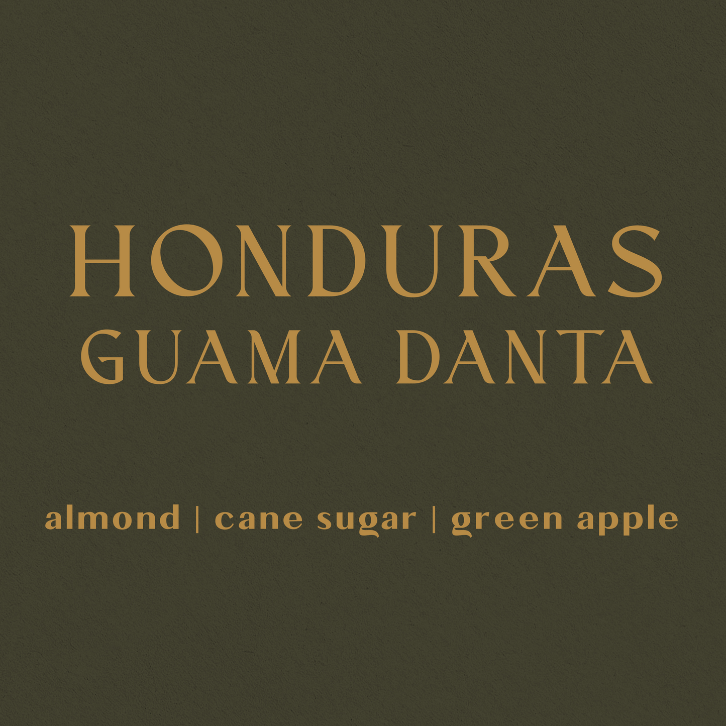 Honduras Reserva Guama Danta - Organic - Inheritance Coffee